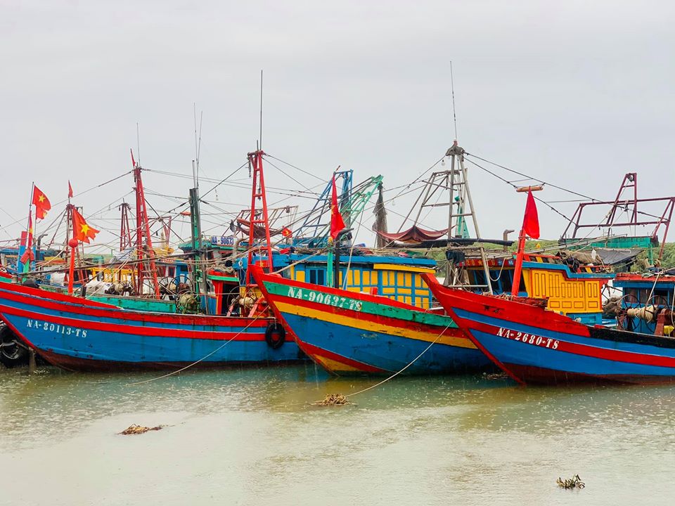 Tin nhanh - Nghệ An: Khẩn cấp kêu gọi tàu thuyền trên biển về bờ tránh bão số 2 (Hình 6).