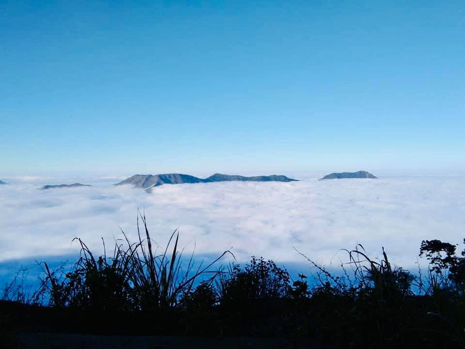 Tin nhanh - Nghệ An xuất hiện băng giá ở vùng núi cao