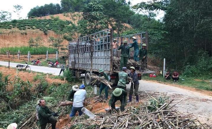 Tiêu dùng & Dư luận - Kỹ nghệ ép cây mía “đẻ”… ra tiền