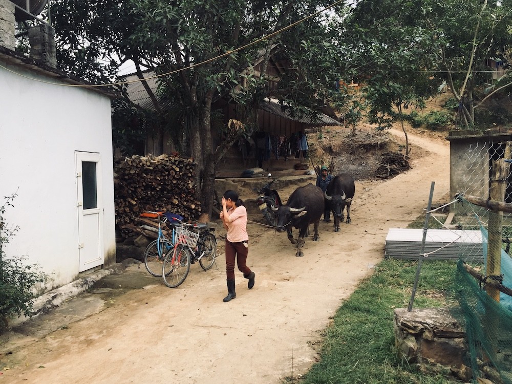 Chính sách - “Lá chắn thép” đẩy lùi ma túy ở bản đồng bào dân tộc Mông (Hình 2).