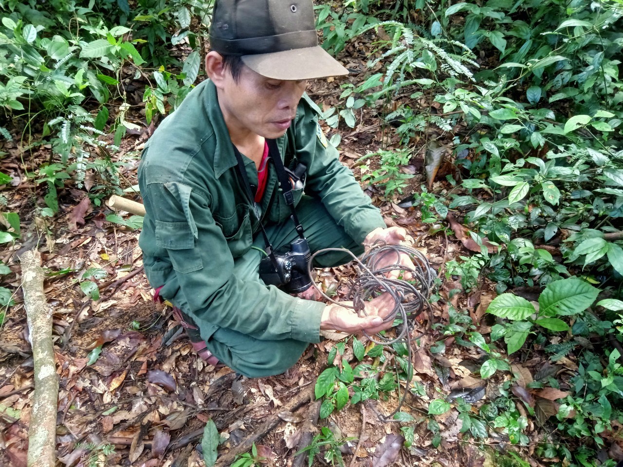 Môi trường - Bước ngoặt của thợ săn thú khét tiếng bỏ nghề thành người bảo vệ rừng