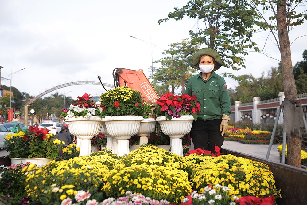 Tiêu dùng & Dư luận - Ấn tượng đường hoa rực rỡ sắc màu đón Tết nguyên đán ở thành Vinh (Hình 6).