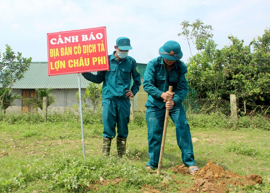 Môi trường - Nghệ An: Lén lút vứt xác lợn chết ra sông giữa vùng 'tâm dịch”  (Hình 3).