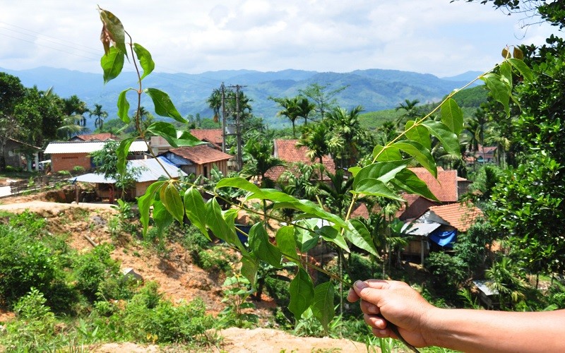 Giáo dục - Thay đổi nhận thức, ngăn chặn học sinh kết thúc cuộc đời bằng lá ngón (Hình 2).