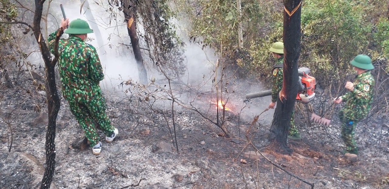 Dân sinh - Hàng trăm người đội nắng chữa cháy rừng ở Nghệ An (Hình 3).