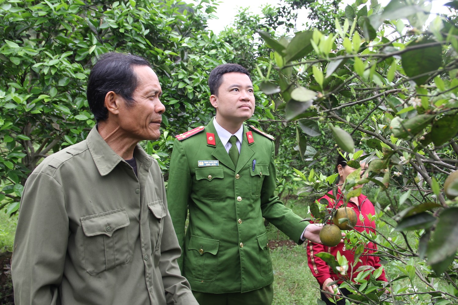 Gia đình - “Cựu tù” tội giết người trở thành nông dân sản xuất giỏi điển hình (Hình 3).