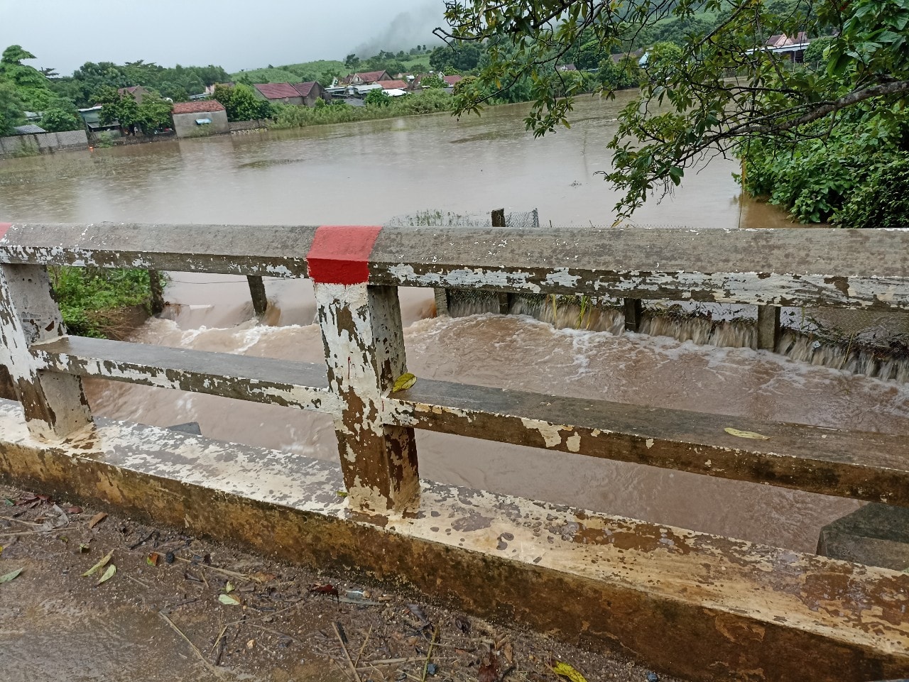 Dân sinh - Nghệ An: Mưa to gây ngập lụt nhiều nơi, hoa màu bị hư hỏng (Hình 4).