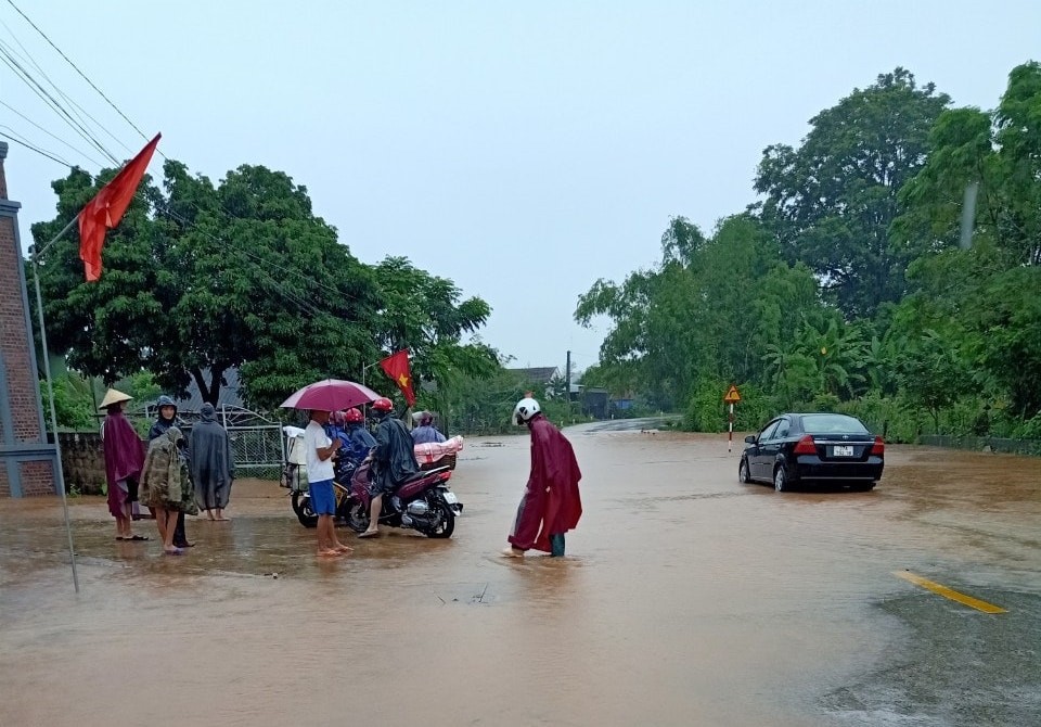 Dân sinh - Nghệ An: Mưa to gây ngập lụt nhiều nơi, hoa màu bị hư hỏng (Hình 3).