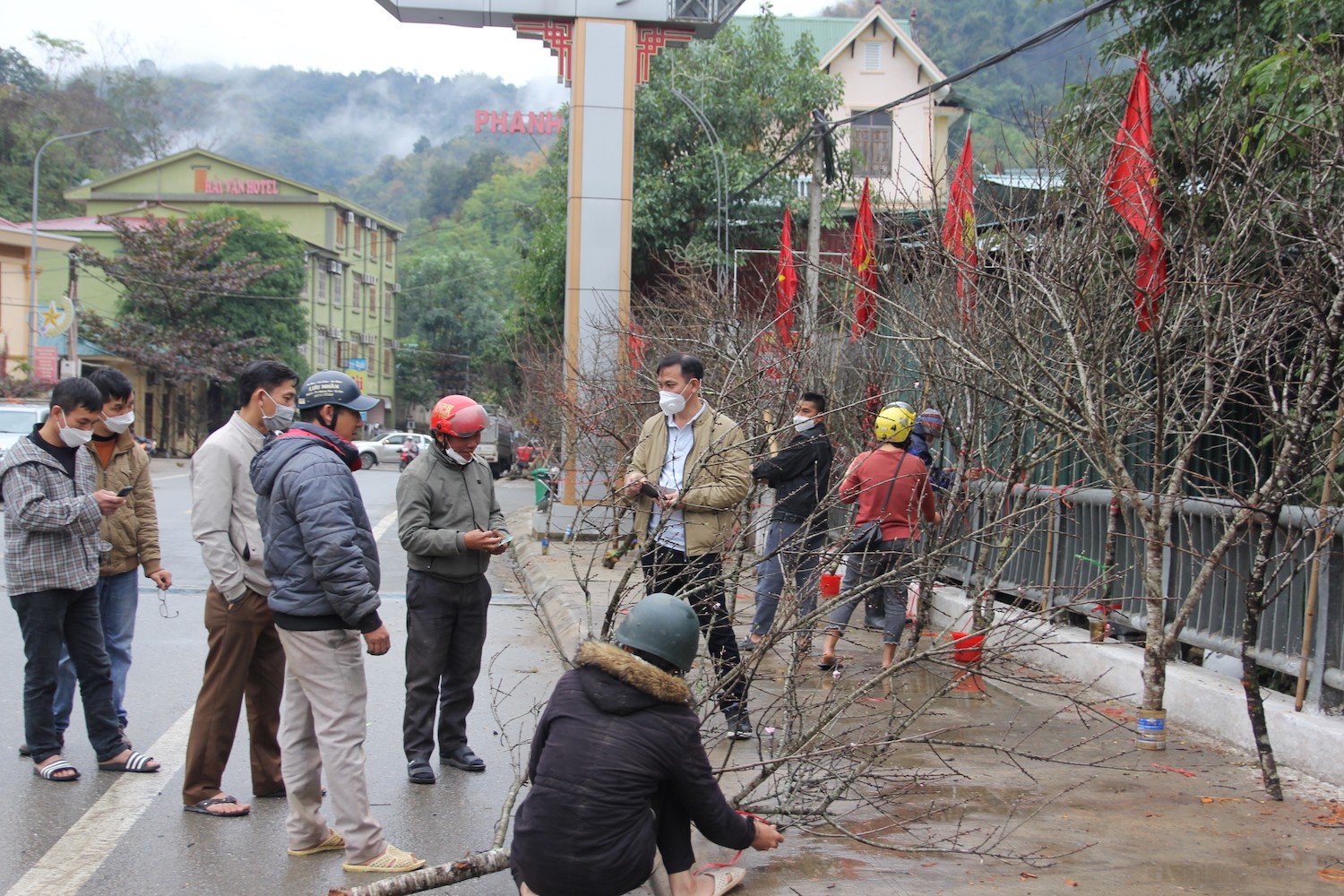 Dân sinh - Đào đá khan hiếm, thương lái bỏ hàng chục triệu vẫn không có hàng mua (Hình 2).