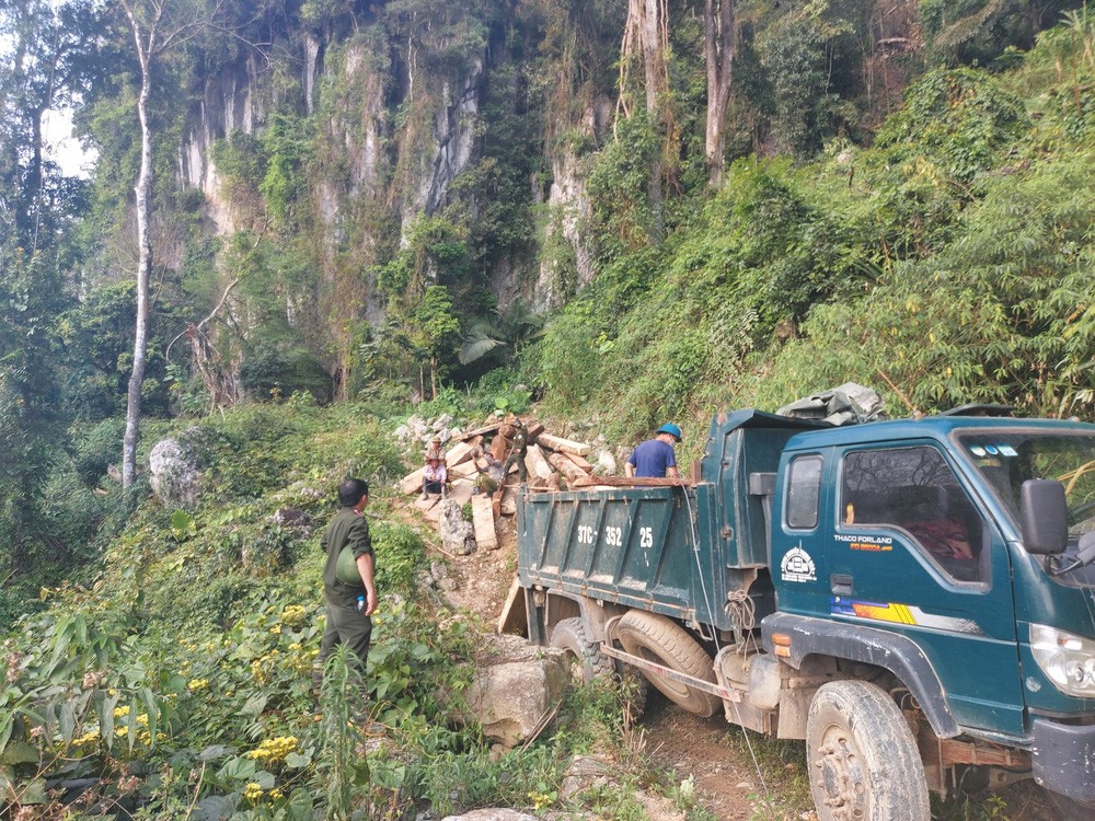 Dân sinh - Nghệ An:Xác minh những khuất tất sau vụ phá rừng tại khu vực biên giới