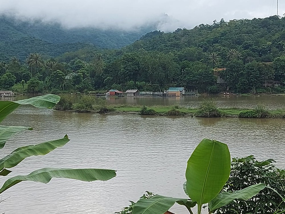 Dân sinh - Người dân lao đao khi hàng trăm kg cá lồng chết hàng loạt (Hình 2).