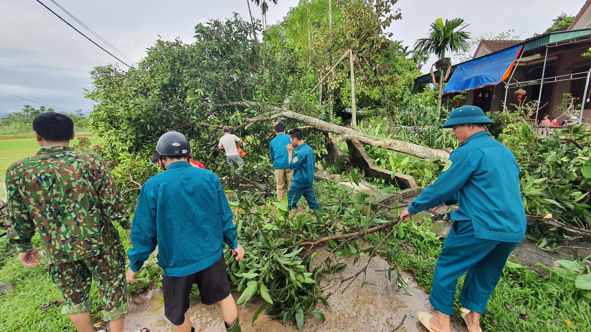 Sự kiện - Vùng “rốn lũ” Nghệ An ngập sâu, nhiều xã bị chia cắt, 2 người tử vong (Hình 5).