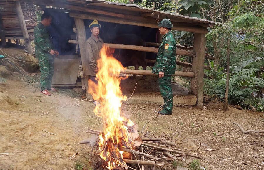 Dân sinh - Tăng cường phòng chống rét cho đàn gia súc ở Nghệ An (Hình 2).