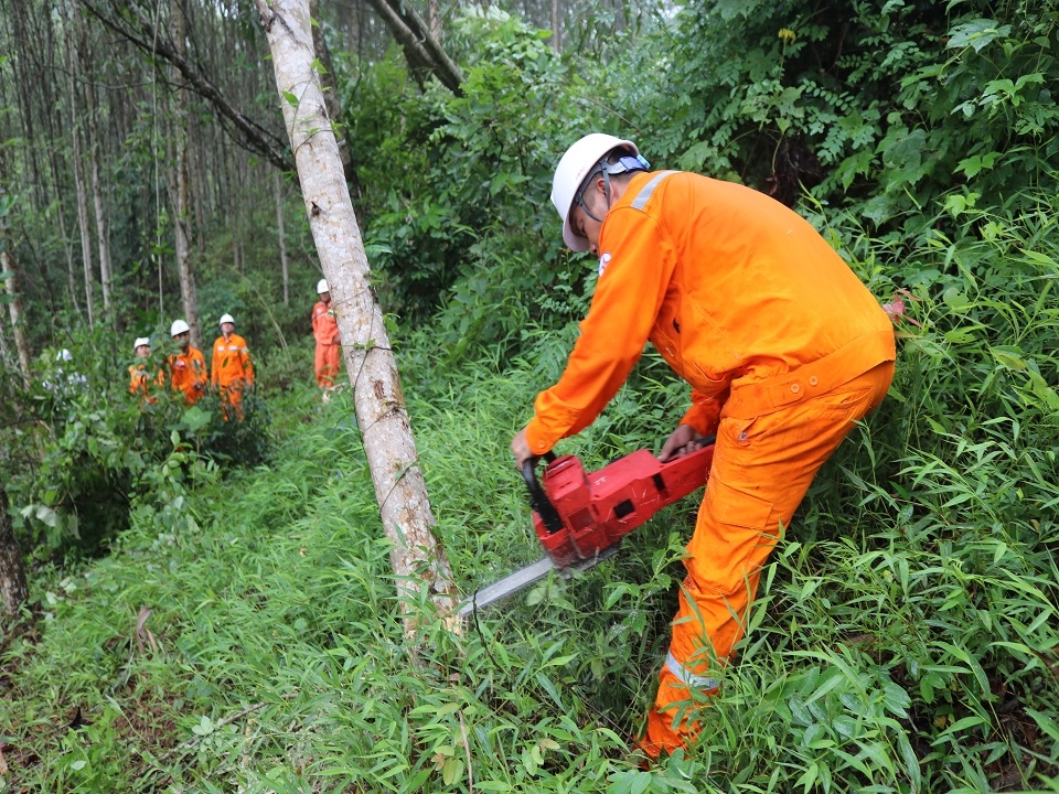 Dân sinh - Điện lưới “thắp sáng” bản làng rẻo cao Nghệ An (Hình 3).