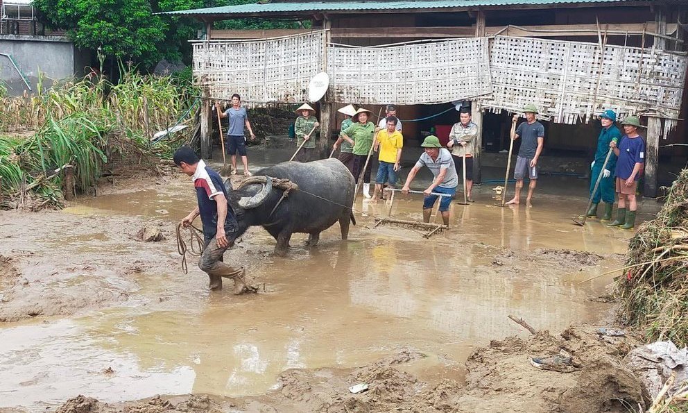 Dân sinh - Năm 2023, Nghệ An thiệt hại gần 700 tỷ đồng do thiên tai (Hình 3).