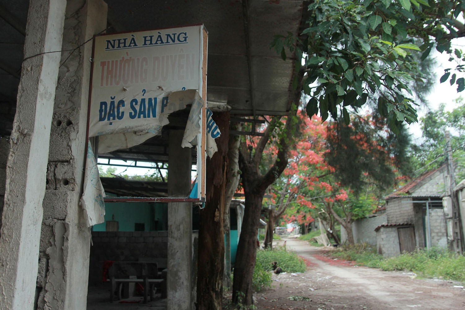 Dân sinh - Hoang tàn ở “phố đèn đỏ” sau chiến dịch triệt xoá mại dâm (Hình 2).