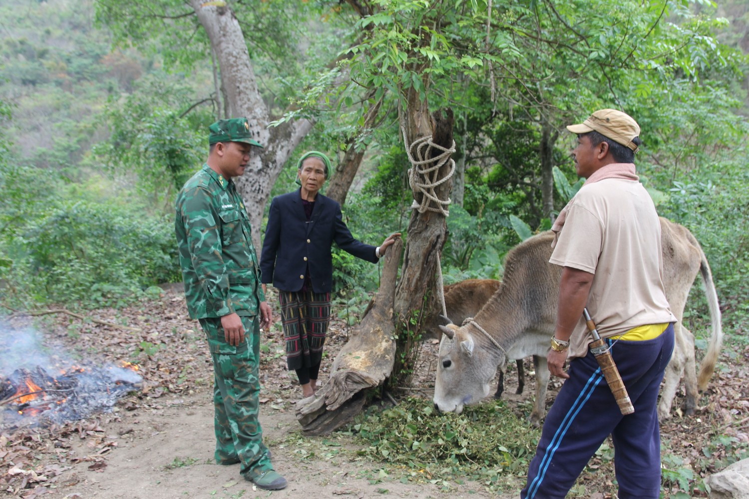 Dân sinh - Bộ đội Biên phòng tỉnh Nghệ An hướng dẫn người dân làm kinh tế, vươn lên thoát nghèo (Hình 3).