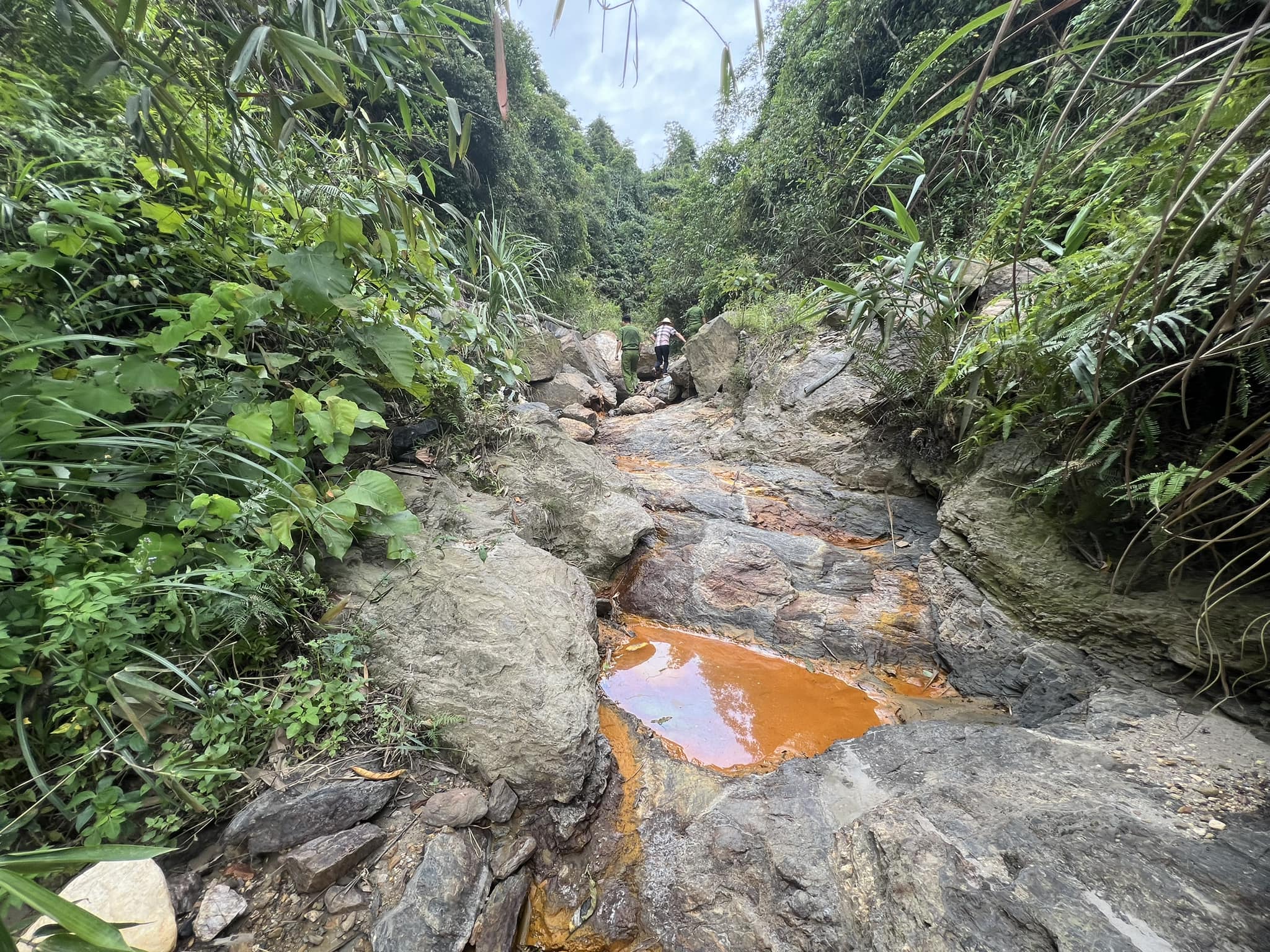 Môi trường - Vụ cá chết bất thường: Xác định nguồn gây ra nước suối bị đục (Hình 2).