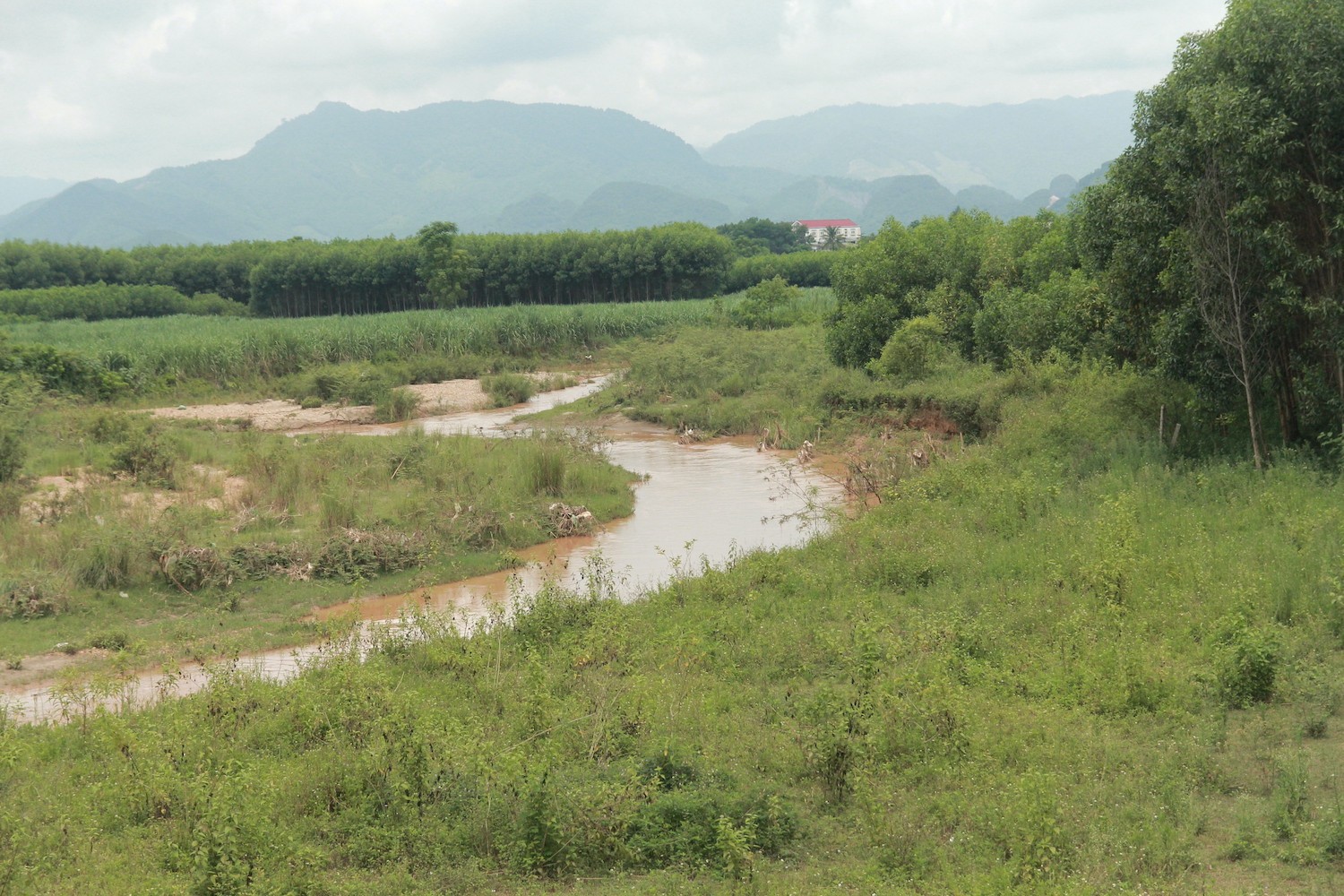 Môi trường - Vụ cá chết bất thường: Yêu cầu tiến hành quan trắc nguồn nước đầu vào (Hình 5).
