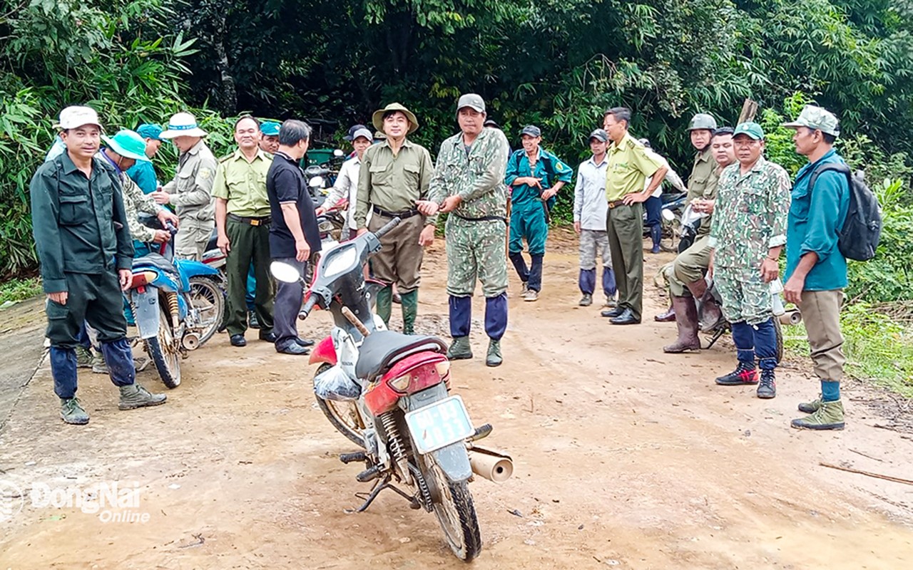 Dân sinh - Đồng Nai: Hàng trăm người vào rừng tìm kiếm người đàn ông mất tích (Hình 3).