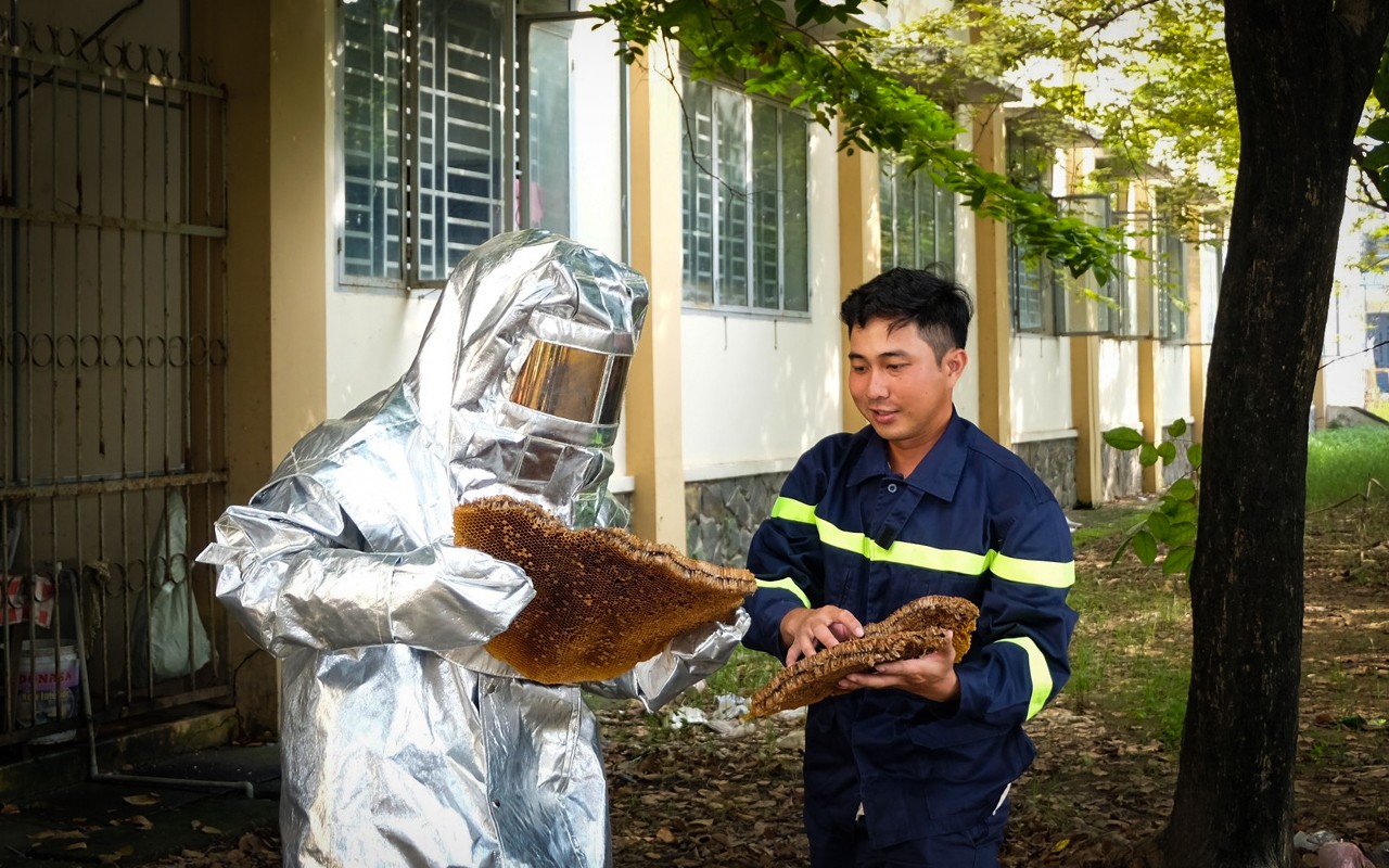 Dân sinh - Đồng Nai: Xử lý tổ ong “khủng” tại trường học