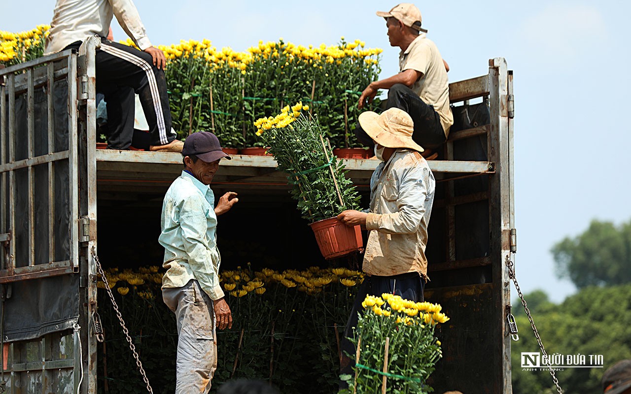 Dân sinh - Làng hoa lớn nhất Đồng Nai vào vụ Tết  (Hình 20).