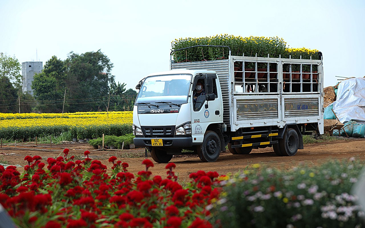 Dân sinh - Làng hoa lớn nhất Đồng Nai vào vụ Tết  (Hình 23).