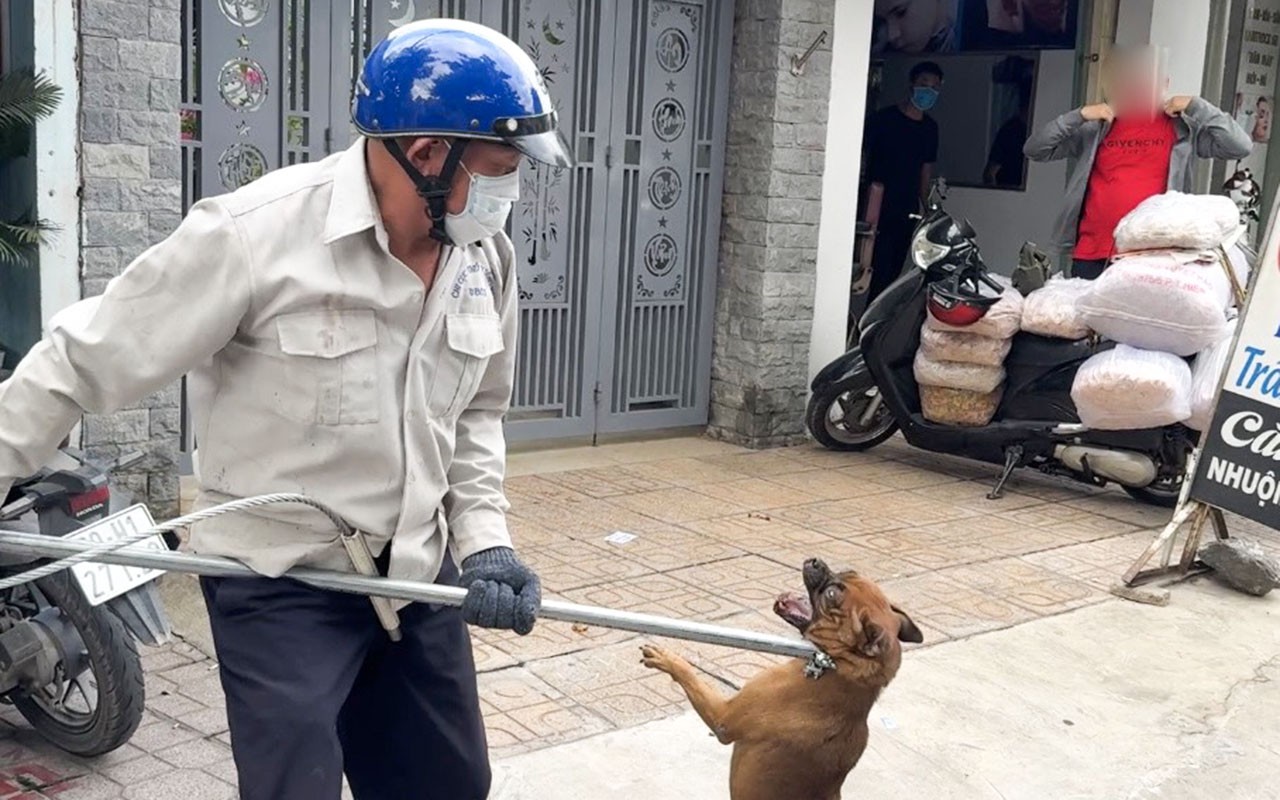 Dân sinh - Đồng Nai: Thành lập đội bắt chó thả rông