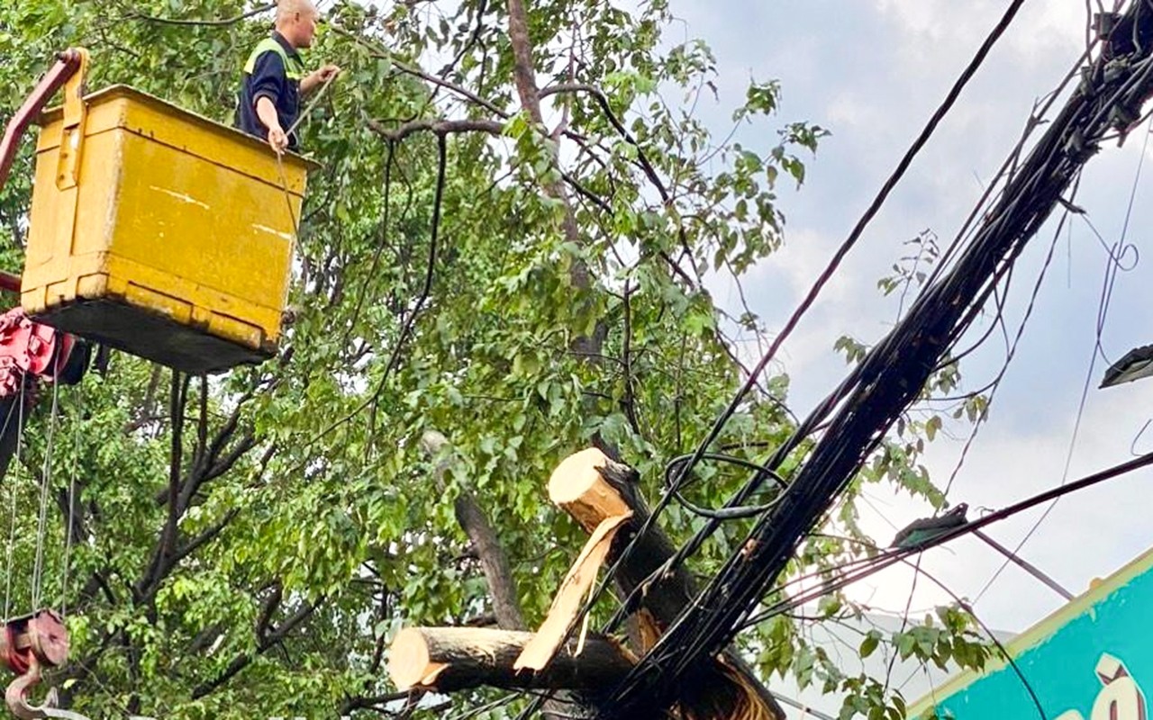 Dân sinh - Đồng Nai: Mưa lớn làm tốc mái  hàng loạt ngôi nhà ở Tp. Biên Hoà (Hình 3).