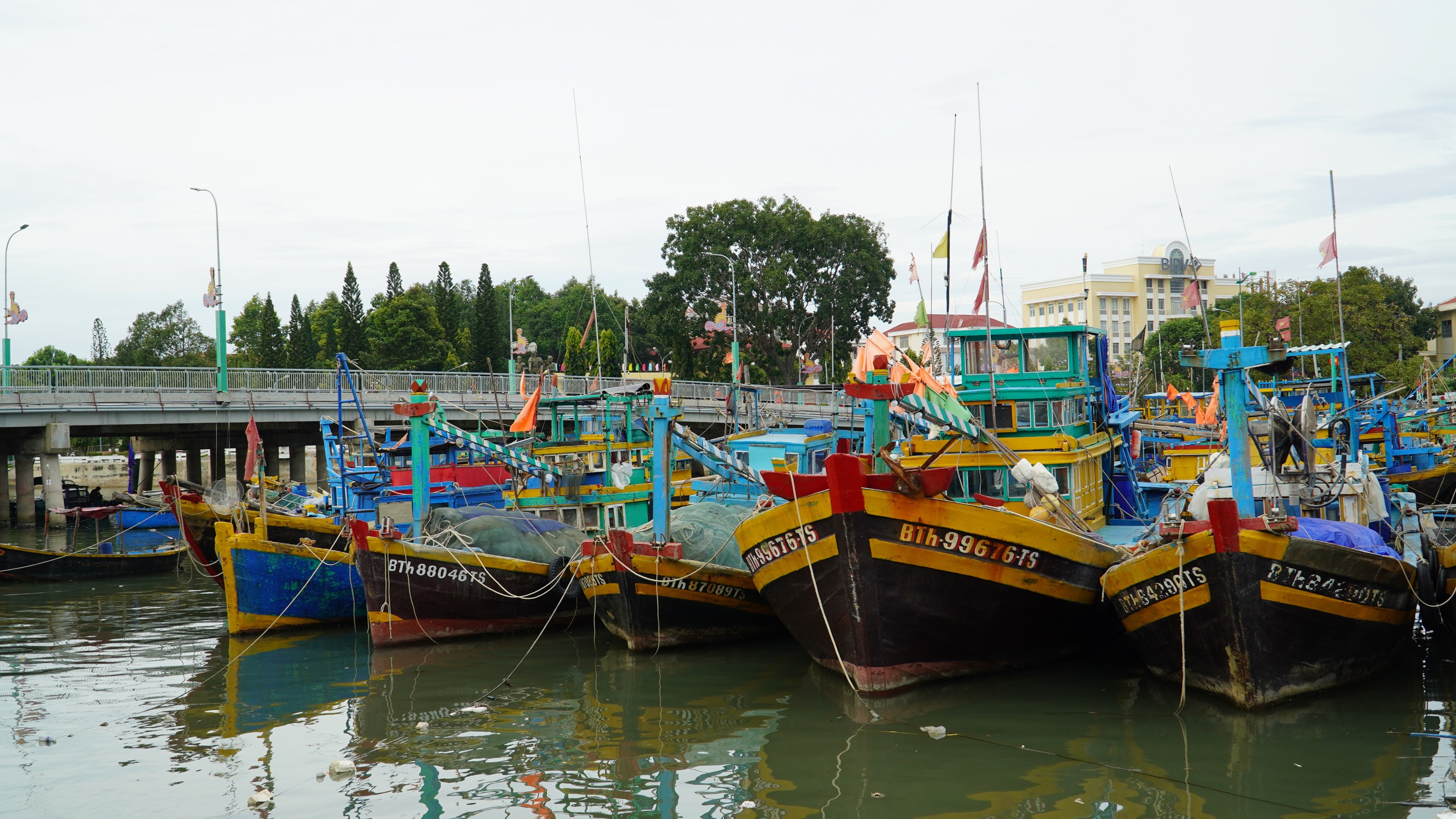 Dân sinh - Bình Thuận: Ngăn chặn tàu cá khai thác hải sản bất hợp pháp ở vùng biển nước ngoài