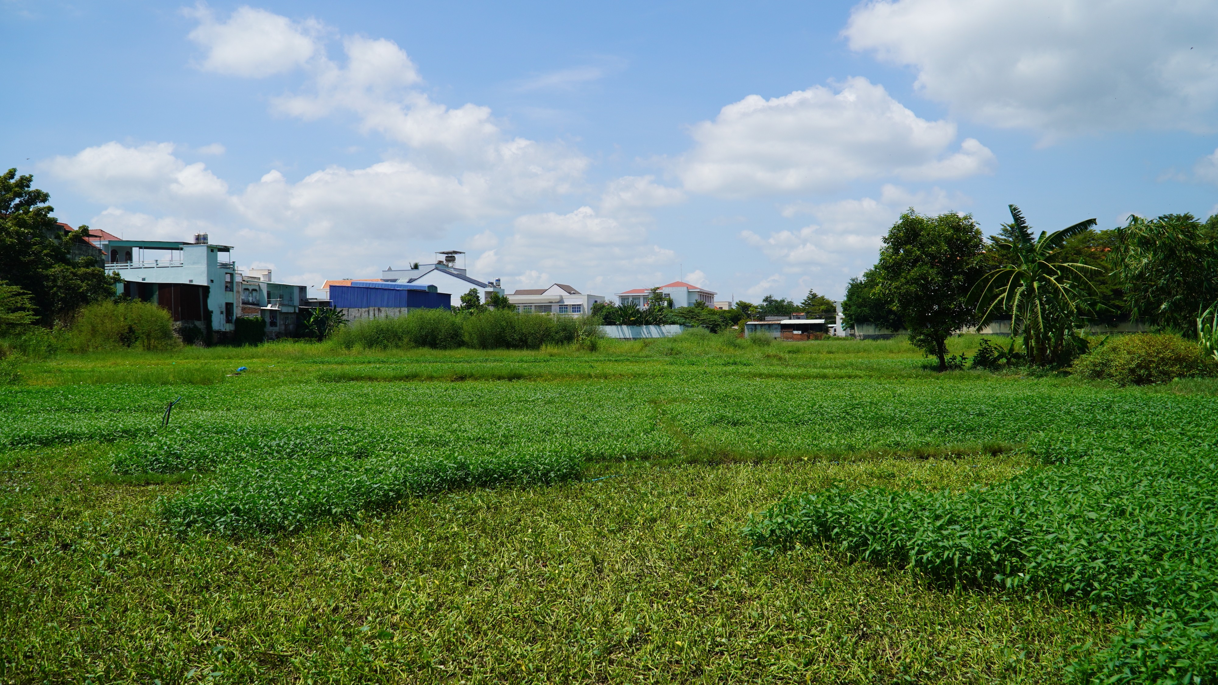 Tiêu dùng & Dư luận - Bình Thuận: Dự án Cầu Văn Thánh tiến độ thi công rất chậm (Hình 5).