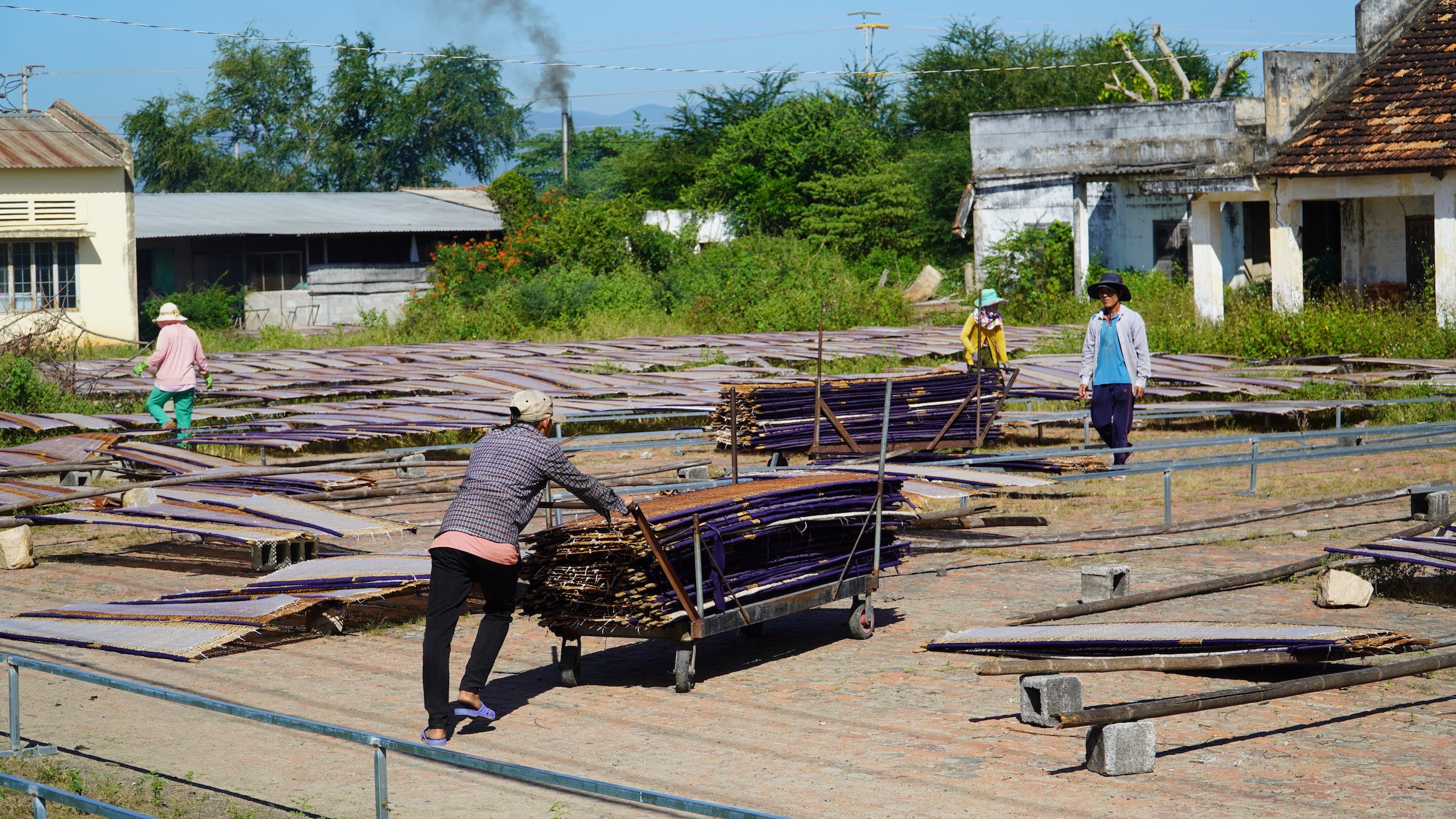 Dân sinh - Bình Thuận: Làng nghề bánh tráng Phú Long tất bật vụ Tết (Hình 5).