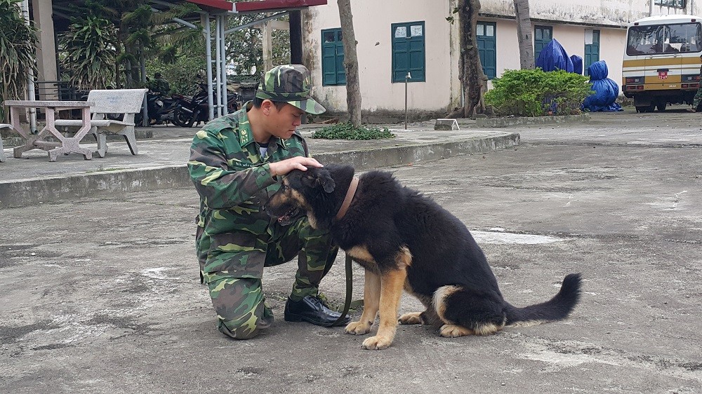 Xã hội - Chuyện về vũ khí 'sống' của Bộ đội Biên phòng (Hình 2).