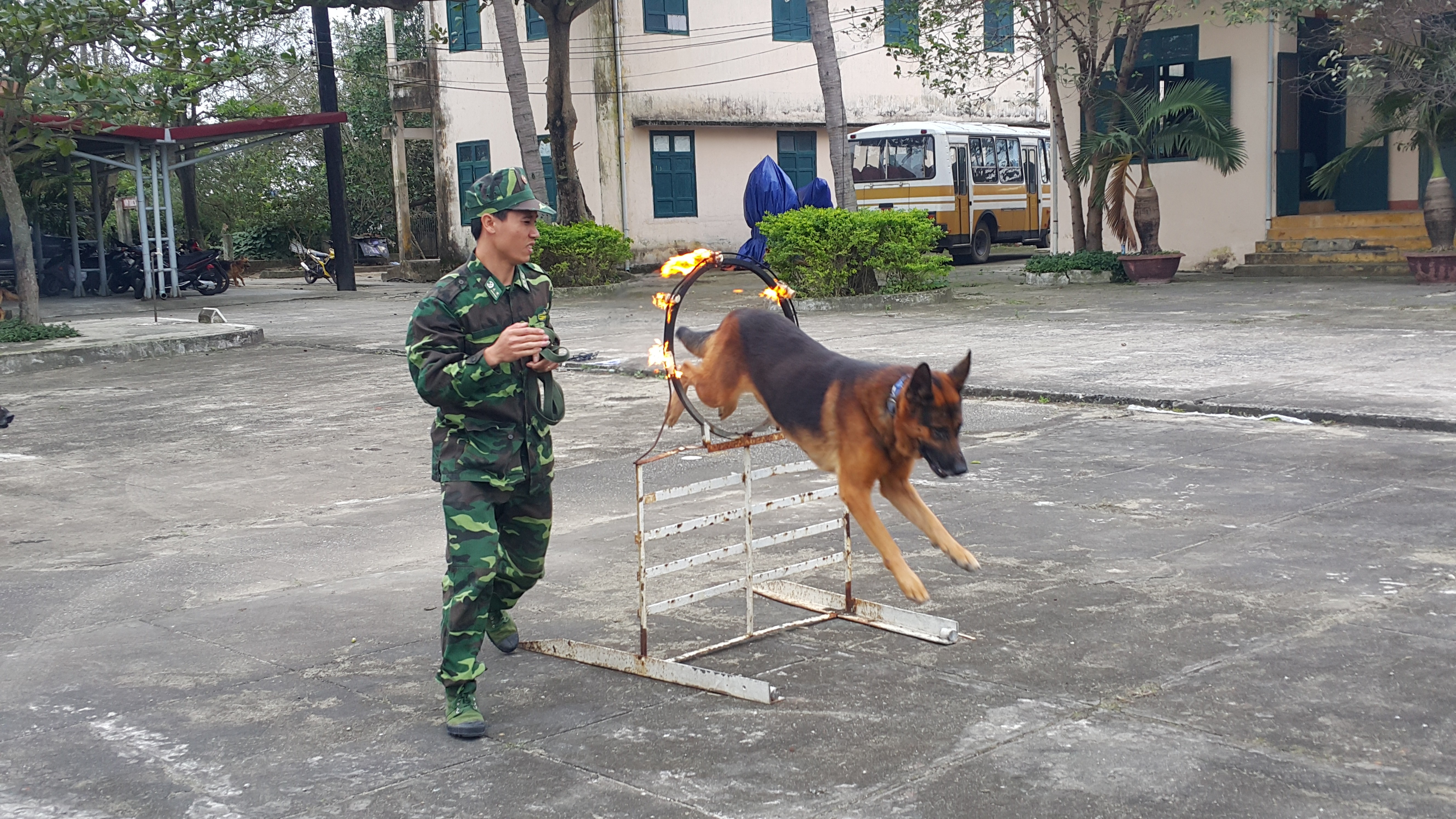 Xã hội - Tâm sự của người vợ chiến sĩ huấn luyện chó (Hình 2).