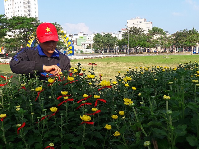 Những người bán đầu tiên đã đưa hoa Tết xuống đường để bán. Họ chăm chút từng bông, từng chậu với hy vọng sẽ thu hút khách.