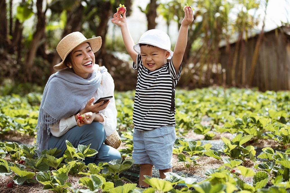 Bên cạnh đó, nữ diễn viên cũng thường xuyên đưa đón con đi học, cùng con đi chơi công viên và du lịch khắp nơi trong nước.