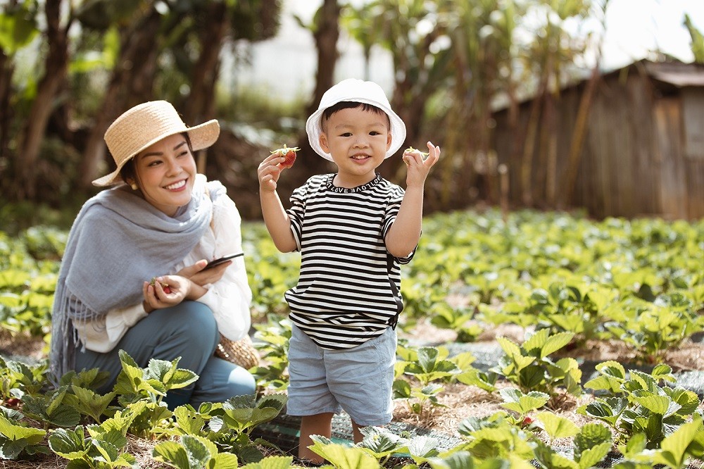 Hai mẹ con Dương Cẩm Lynh đã có những trải nghiệm thú vị khi cùng nhau vui đùa trên phim trường. William khá thích thú khi được đi quay cùng mẹ. Cậu luôn có những biểu cảm thú vị. 