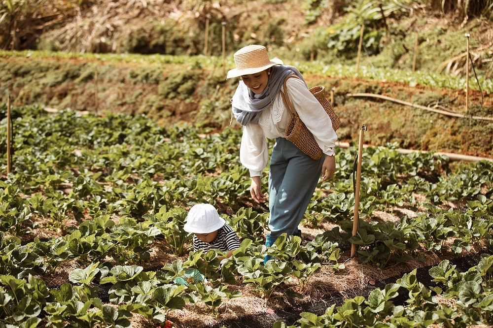 Ngoài ra, cứ mỗi lần ra phim trường ghi hình nếu có thể dẫn theo con trai thì Dương Cẩm Lynh đều đưa bé William theo để hai mẹ con luôn được song hành cùng nhau. 