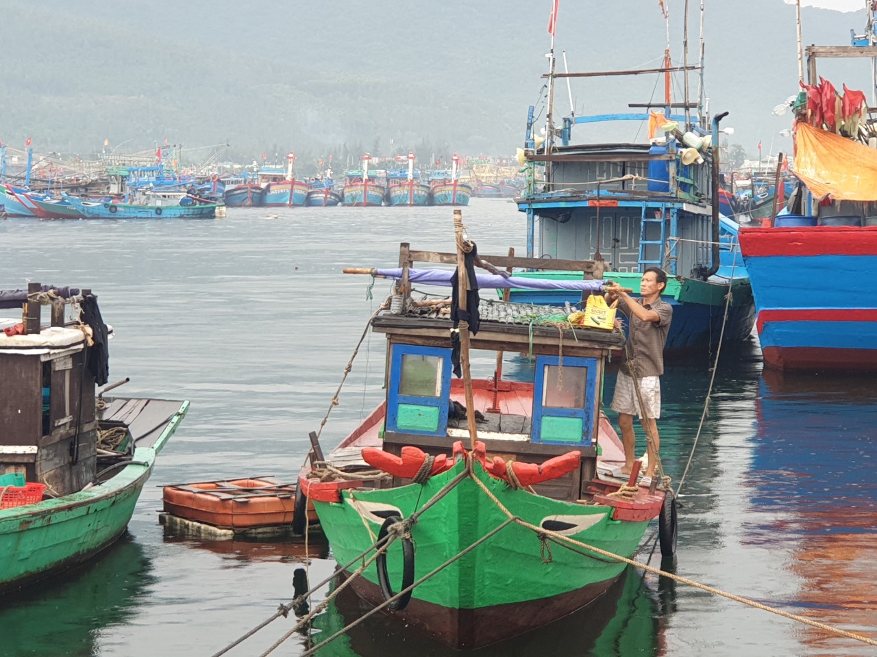 Tin nhanh - Nhiều thiếu sót trong mua sắm tại Âu thuyền và Cảng cá Thọ Quang