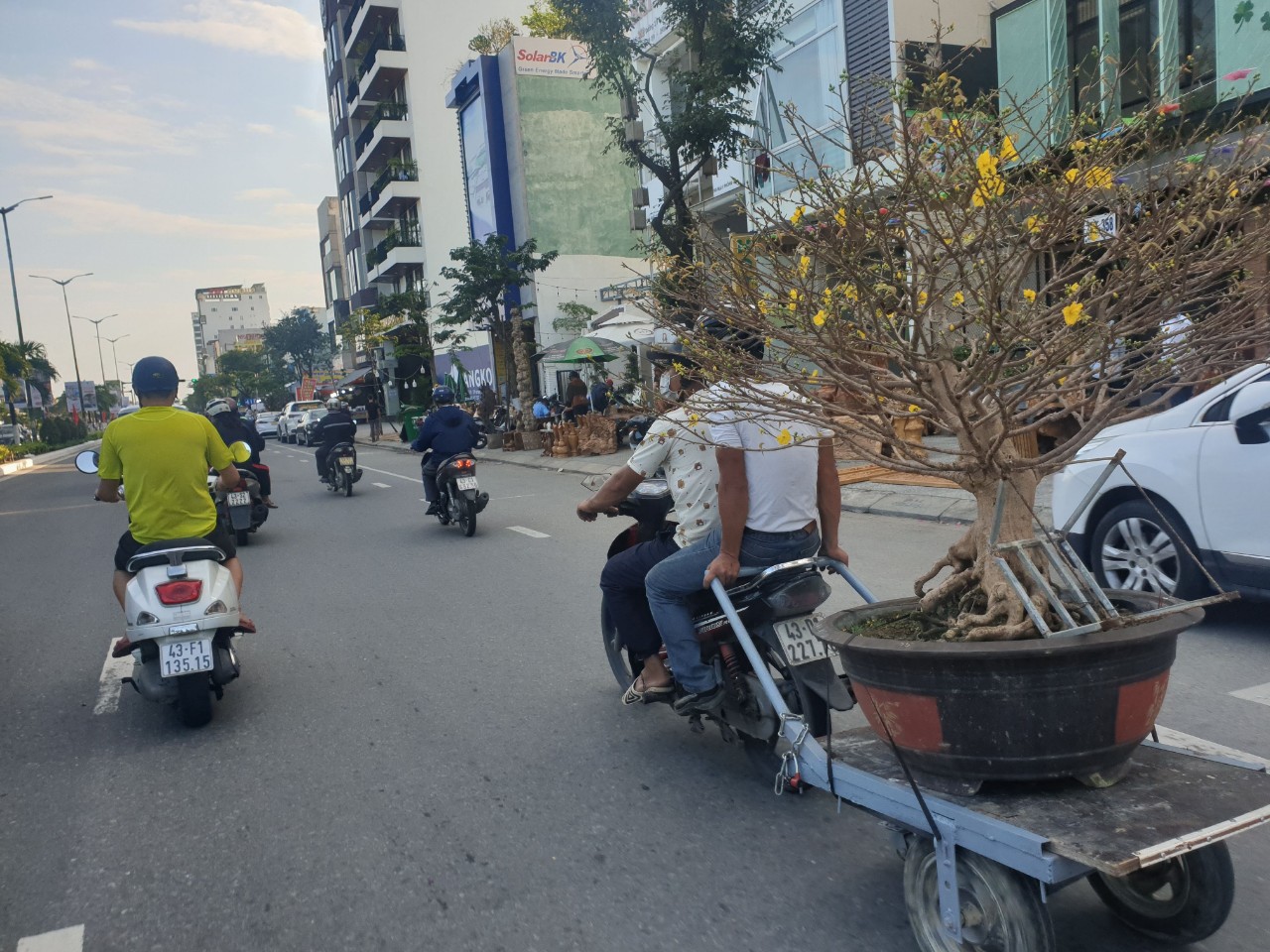 Dân sinh - Tp.Đà Nẵng: Chợ hoa Tết vắng khách, người dân dè sẻn chi tiêu (Hình 6).