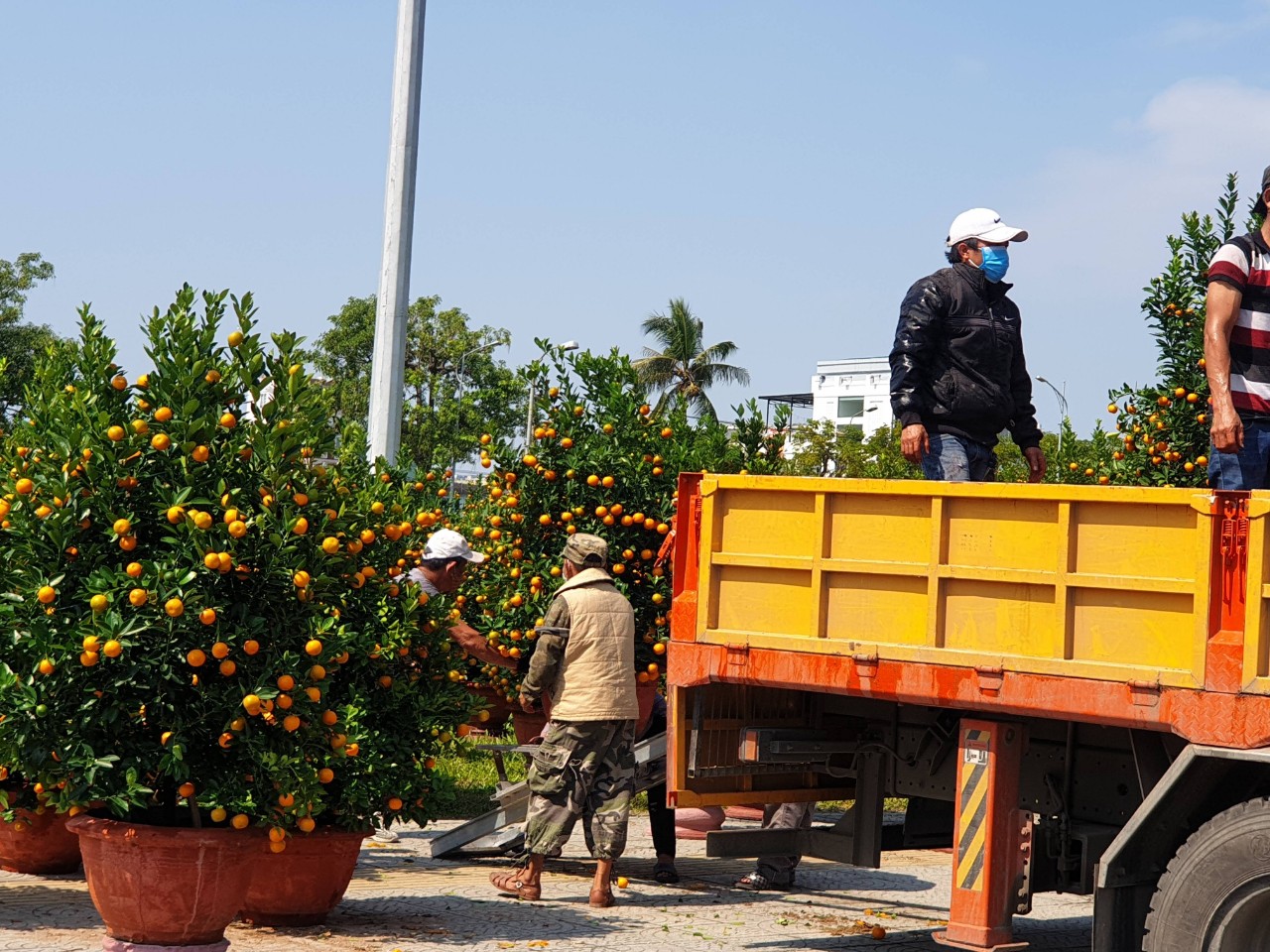 Dân sinh - Tp.Đà Nẵng: Chợ hoa Tết vắng khách, người dân dè sẻn chi tiêu (Hình 3).