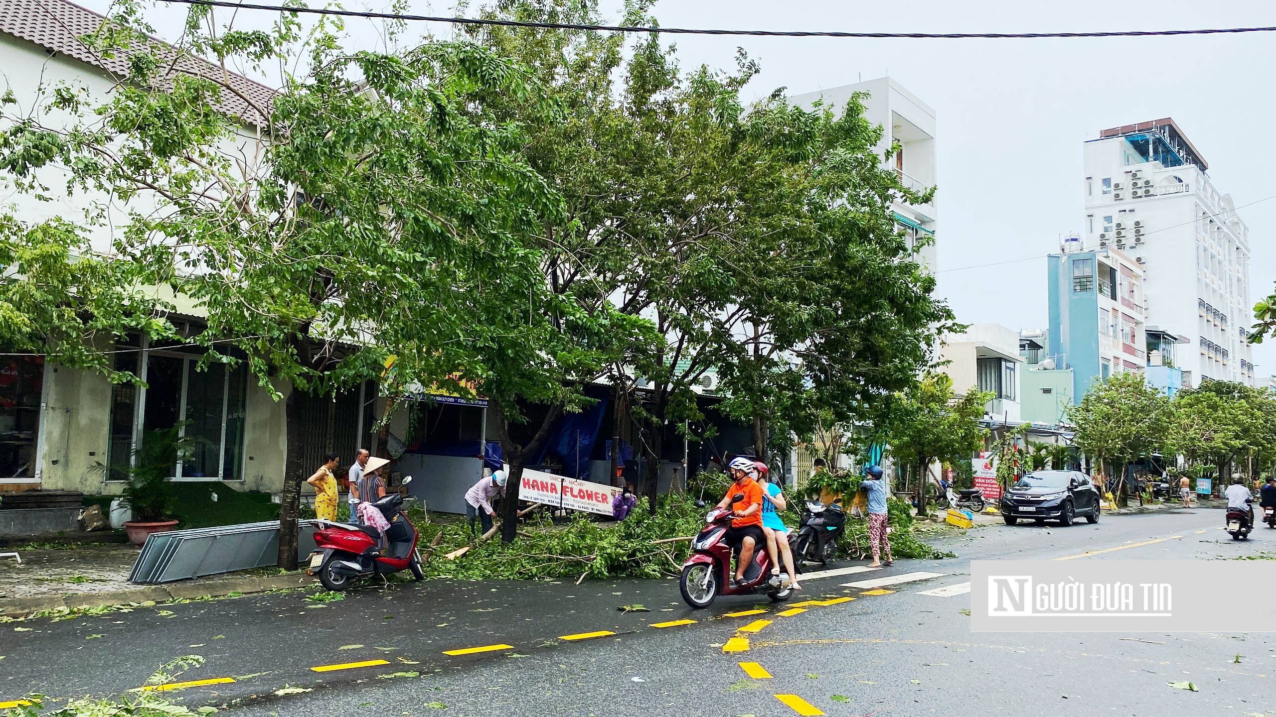 Sự kiện - Cuộc sống Tp.Đà Nẵng yên bình trở lại sau bão Noru (Hình 4).