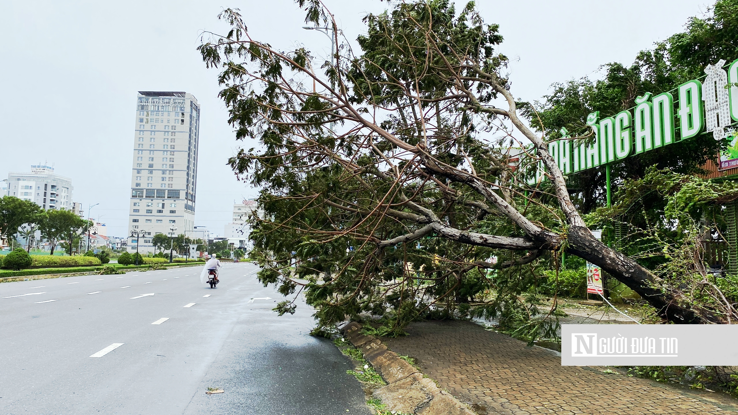 Sự kiện - Cuộc sống Tp.Đà Nẵng yên bình trở lại sau bão Noru (Hình 3).