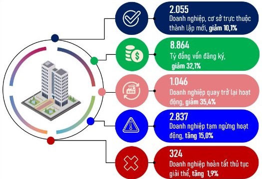 Kinh tế vĩ mô - Đà Nẵng: Doanh nghiệp đánh giá thế nào về triển vọng kinh tế? (Hình 2).