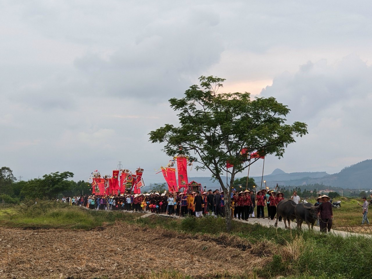 Văn hoá - Độc đáo Lễ hội Mục đồng ở Đà Nẵng (Hình 3).