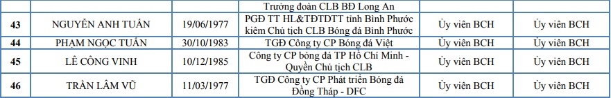 Lê Công Vinh tranh cử vào VFF, bầu Tú kiên quyết không bỏ ghế (Hình 4).