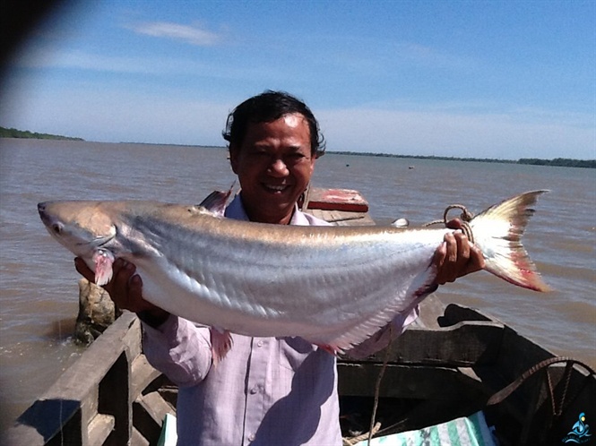 'Thủy quái' Vàm Nao và giai thoại thú vị về cá sấu 5 chân thành tinh (Hình 4).