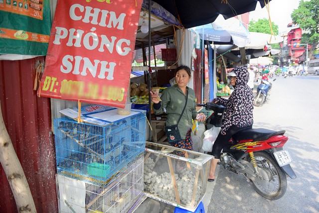 Văn hoá - Lễ Vu Lan: Chim chóc run rẩy chờ được phóng sinh