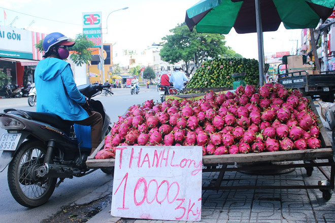 Tiêu dùng & Dư luận - Đến lượt thanh long bị… giải cứu (!!)