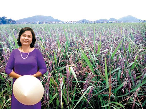 Tài chính - Ngân hàng - Trò chuyện với nữ doanh nhân ví nông sản Việt như 'cô gái quê danh giá'... (Hình 2).